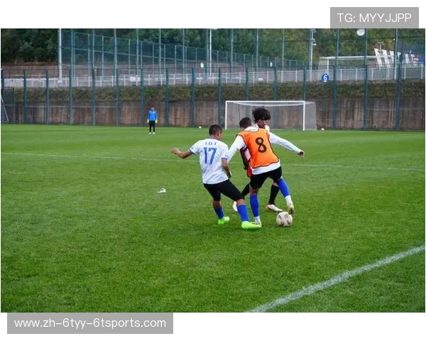 足球比赛中的耐力训练与爆发力提升