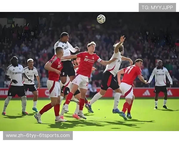 法甲赛季回顾与球队表现综合总结